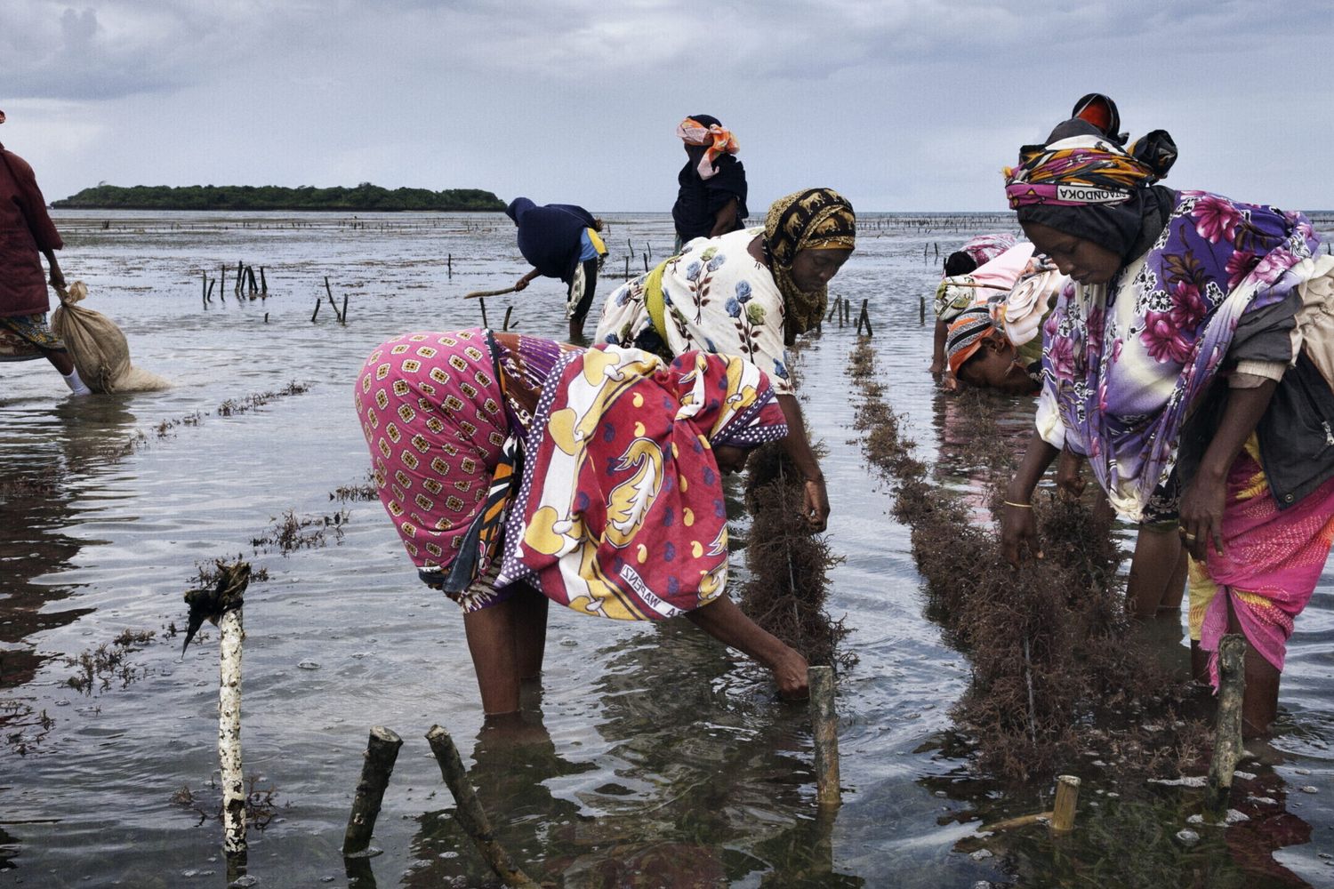 L’Italie investira 100 millions d’euros dans le secteur agricole au Mozambique
