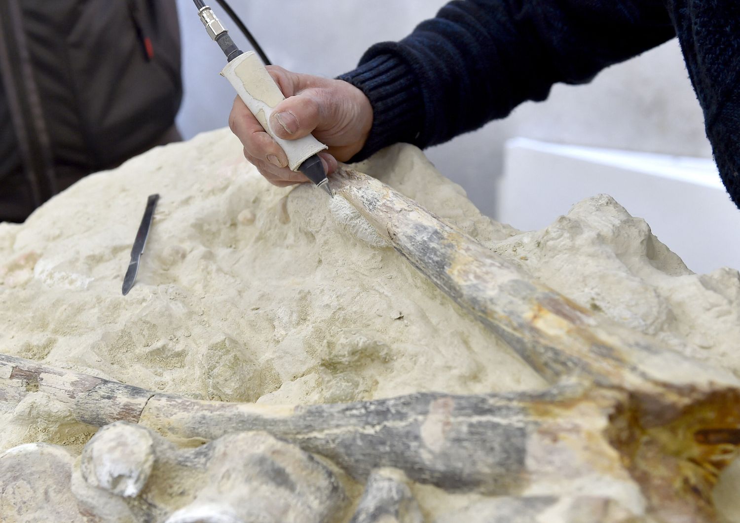 Fossile