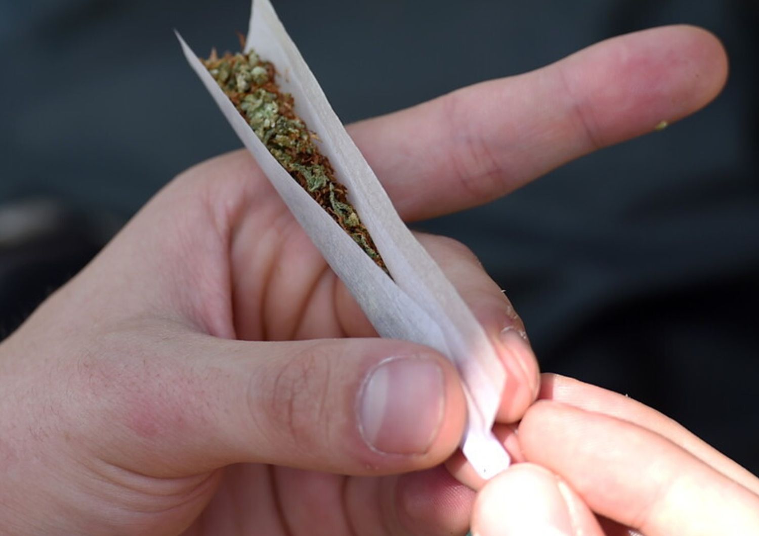 cannabis&nbsp;