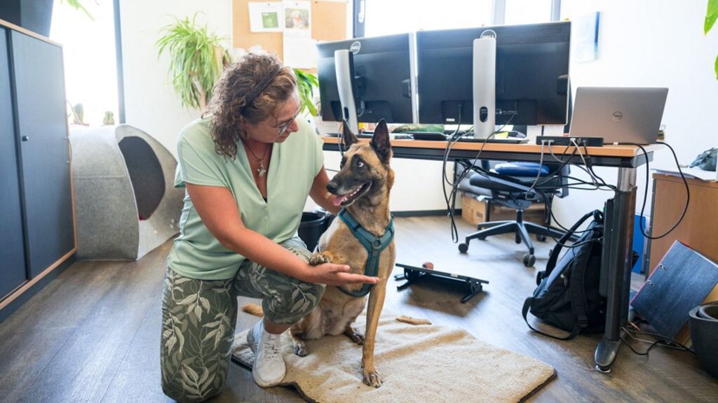 Con i cani in ufficio cala lo stress e cresce la produttività
