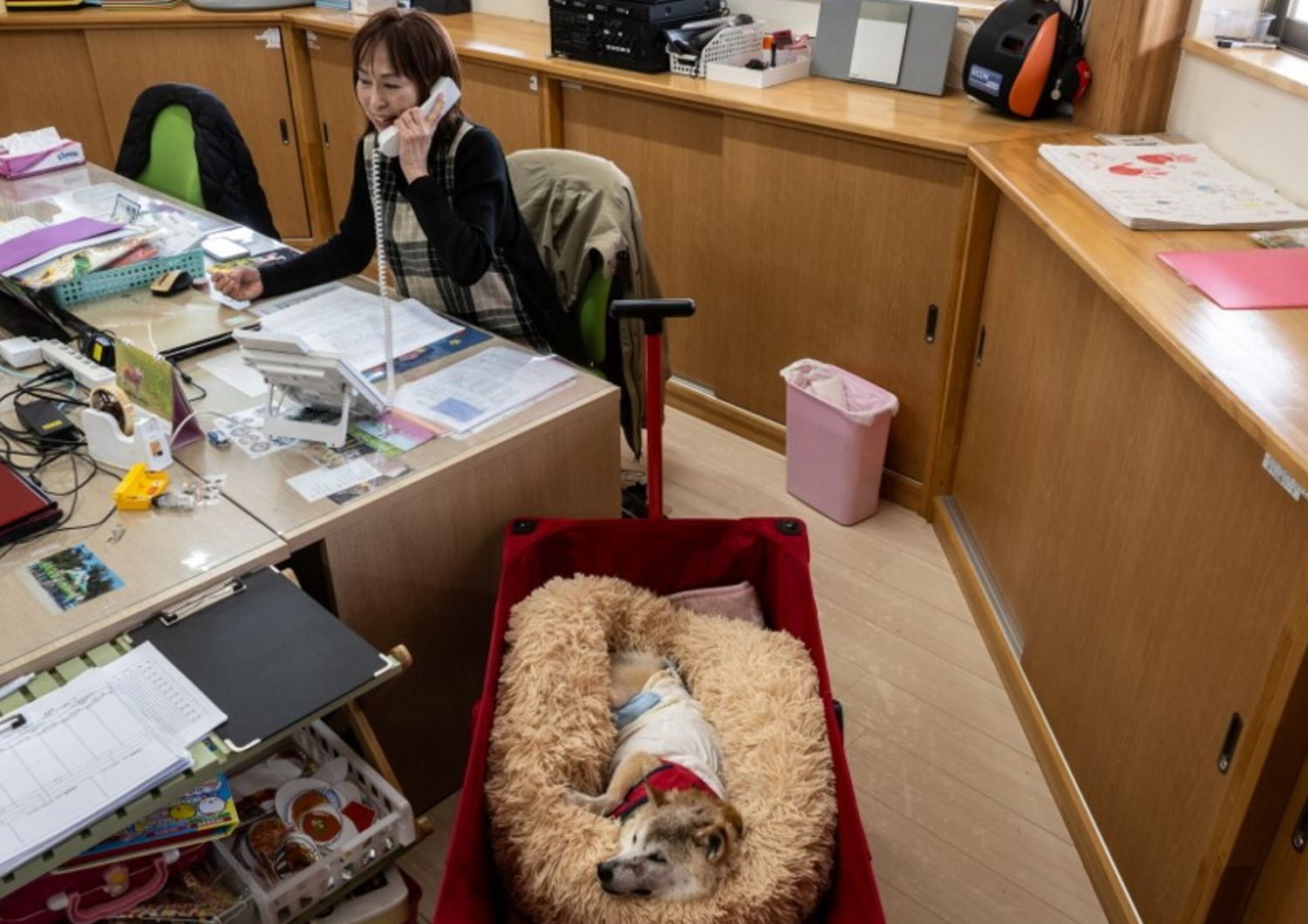 cani-in-ufficio-benefici-stress-produttivita-lavoro