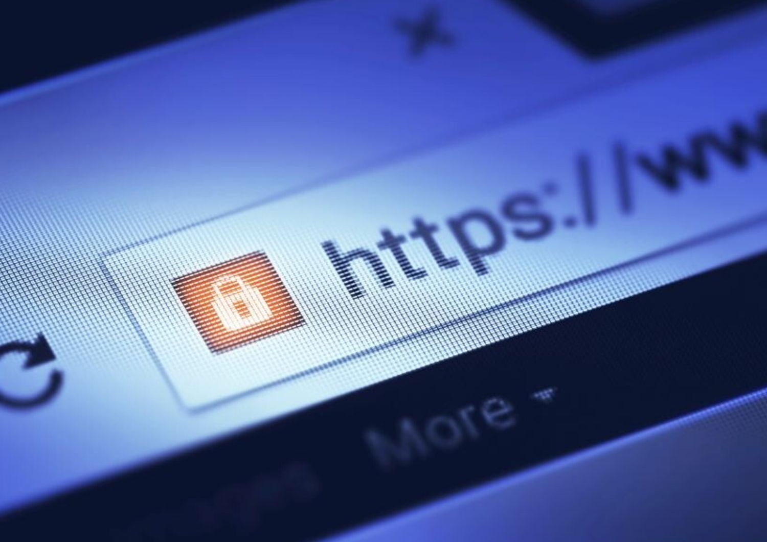 Ricerca online