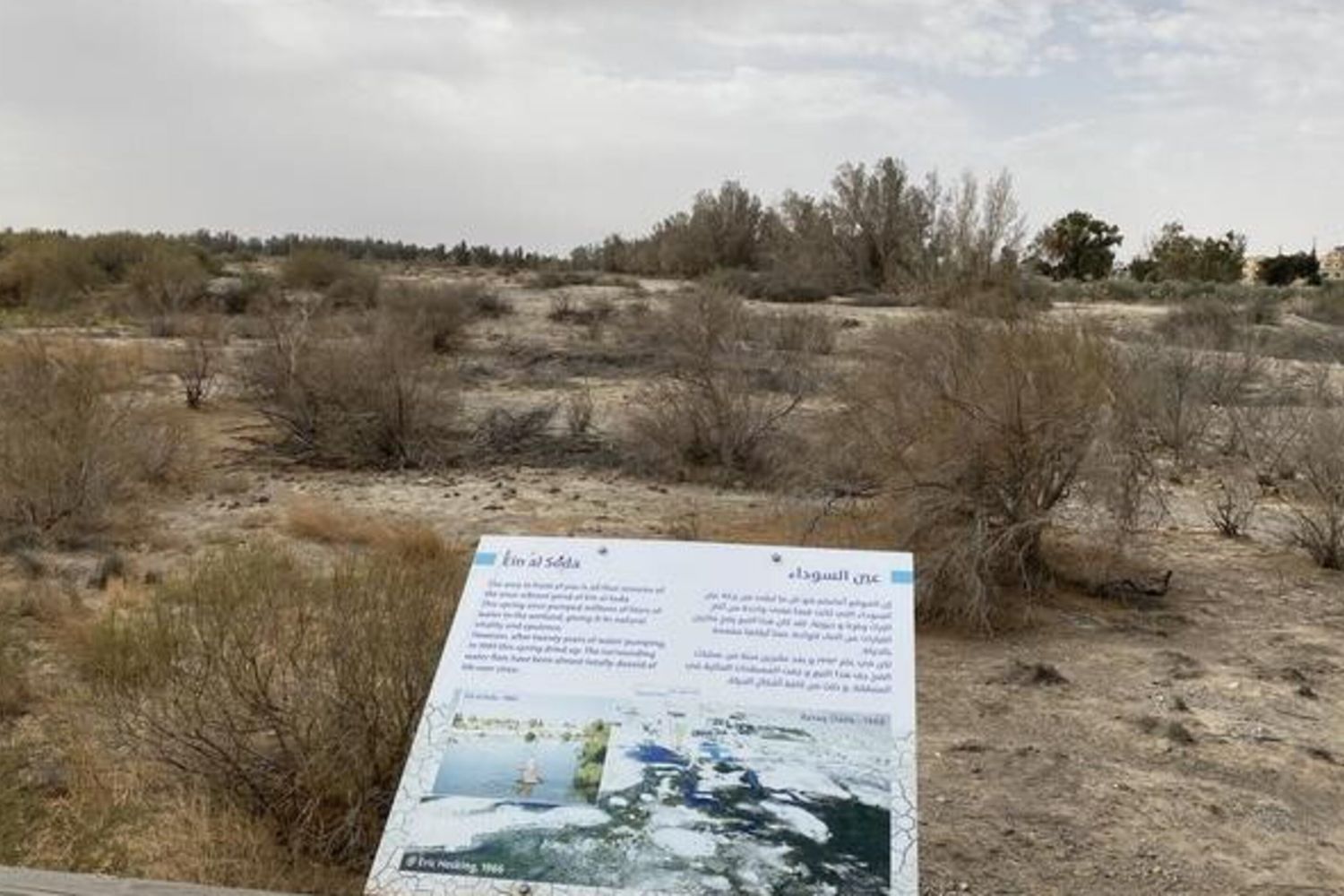 Oltre la metà della popolazione mondiale ha poca acqua
