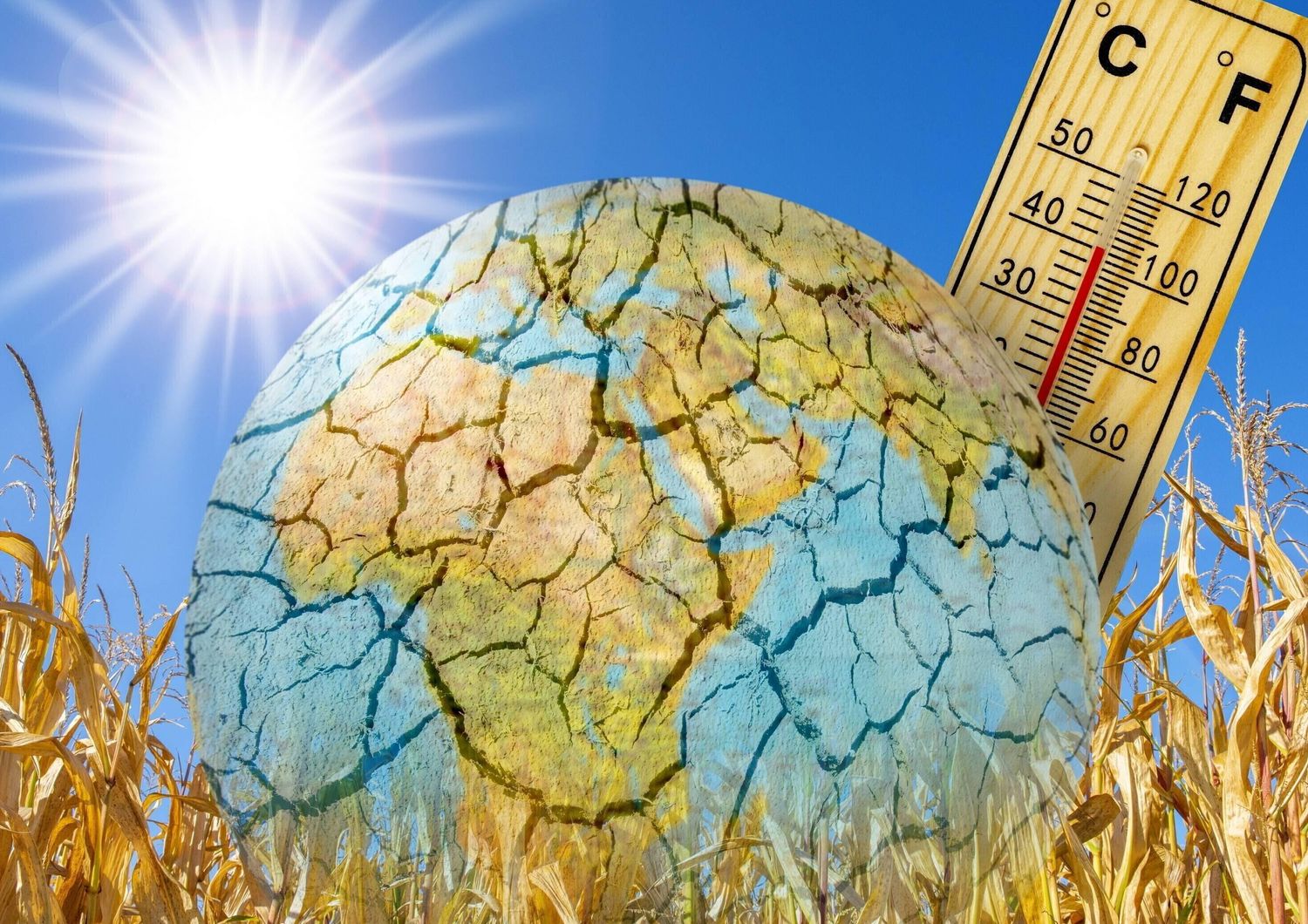 Allerta caldo in Italia: oggi bollino rosso in 6 città