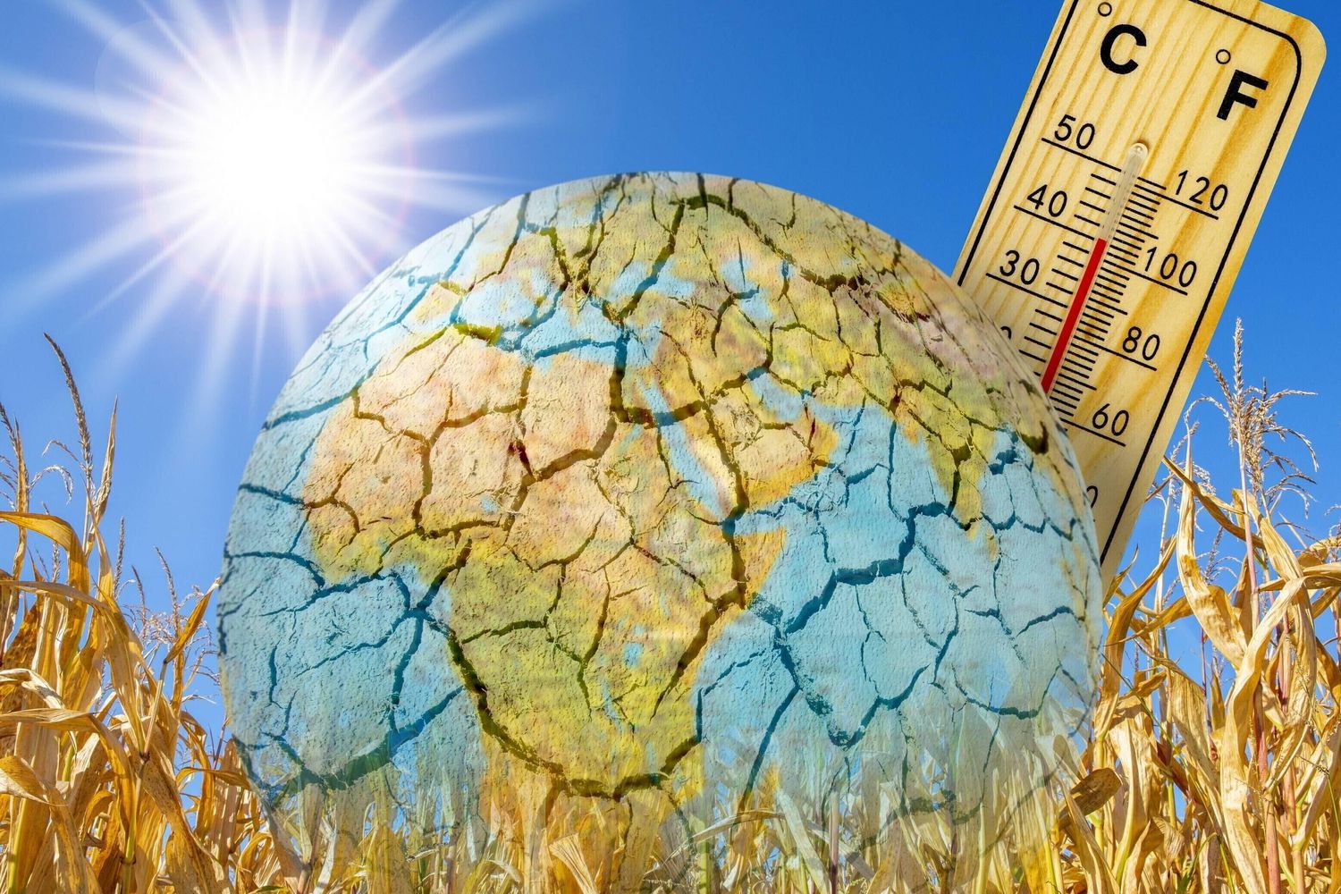 Allerta caldo in Italia: oggi bollino rosso in 6 città