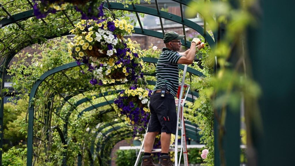 Wimbledon, piante e giardini