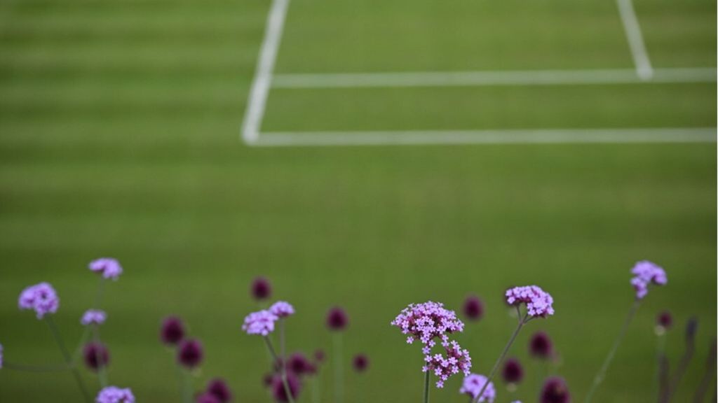 Wimbledon e piante