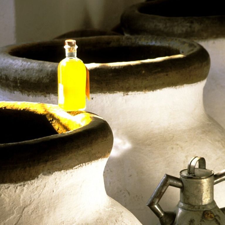 Olio d'oliva Spagna