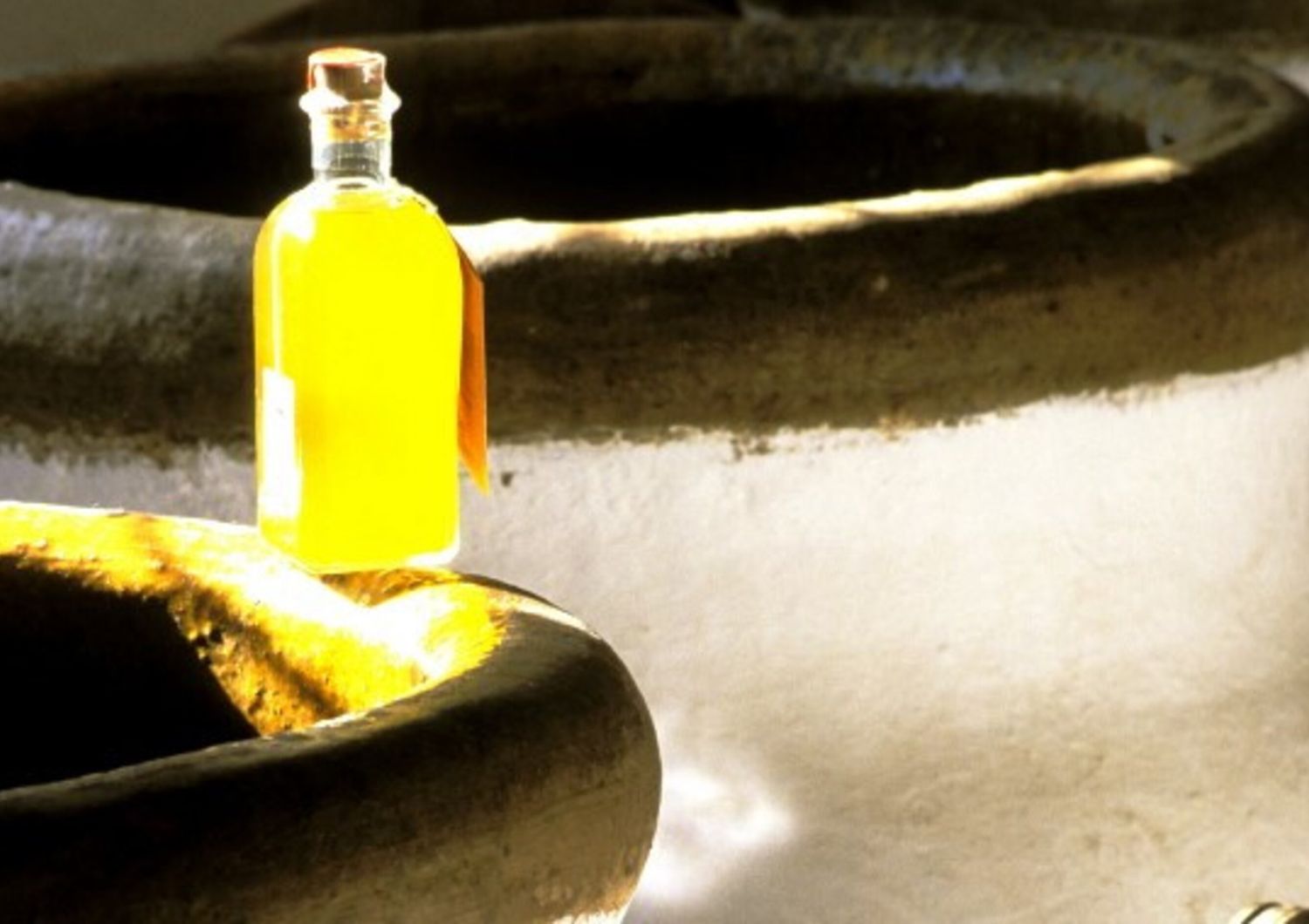 Olio d'oliva Spagna