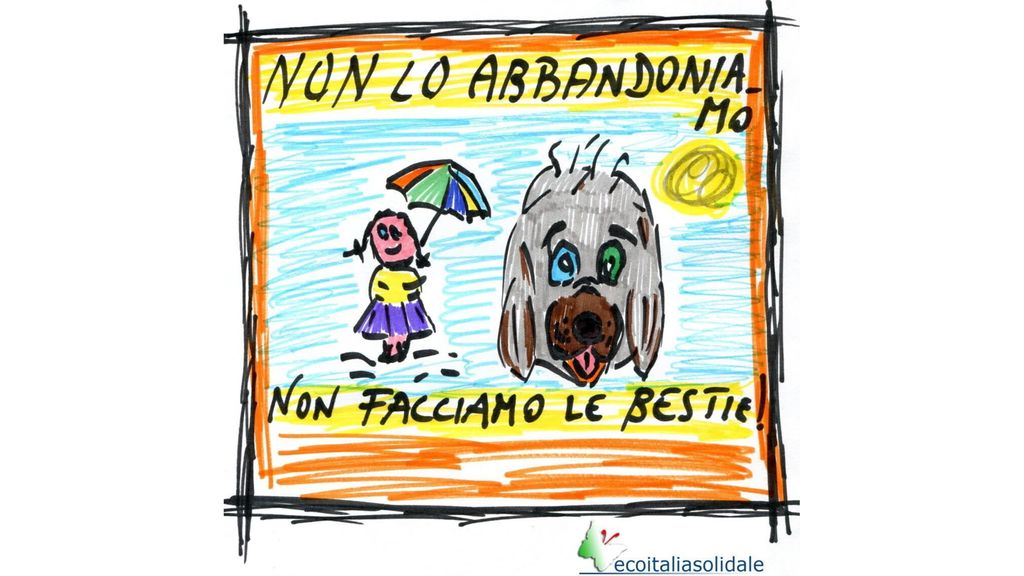 Estate da incubo per gli animali: 80.000 gatti e 50.000 cani abbandonati