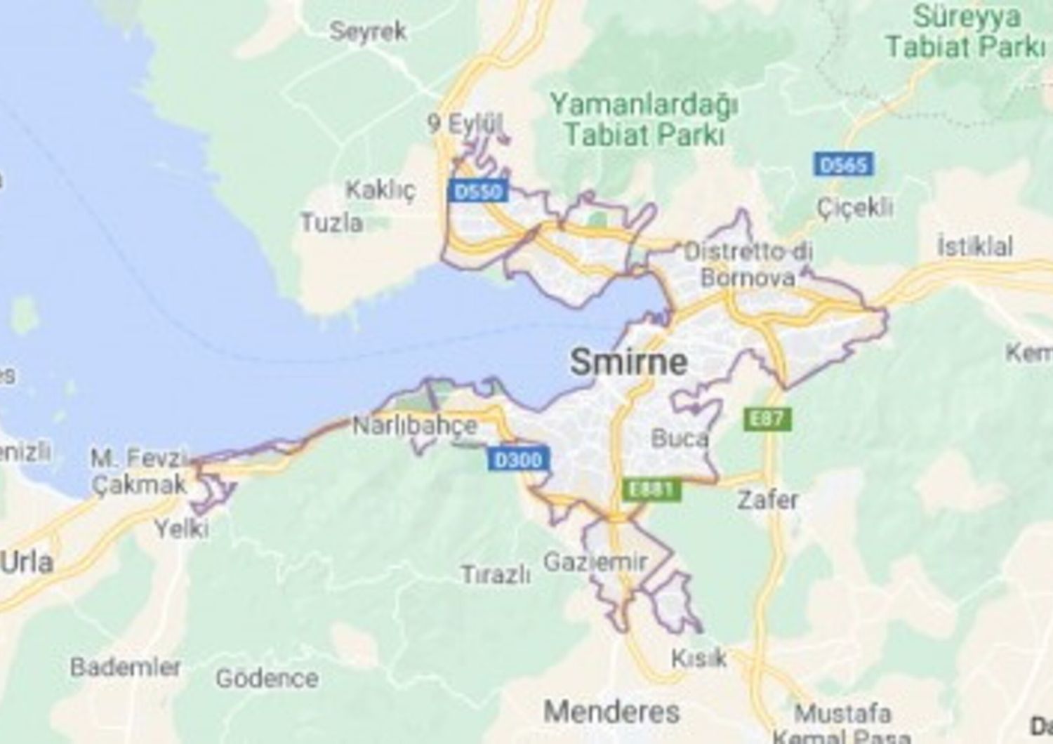 La Turchia assediata dagli incendi. Oltre 50mila evacuati a Smirne