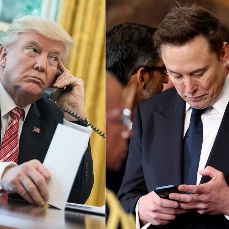 Donald Trump - Elon Musk