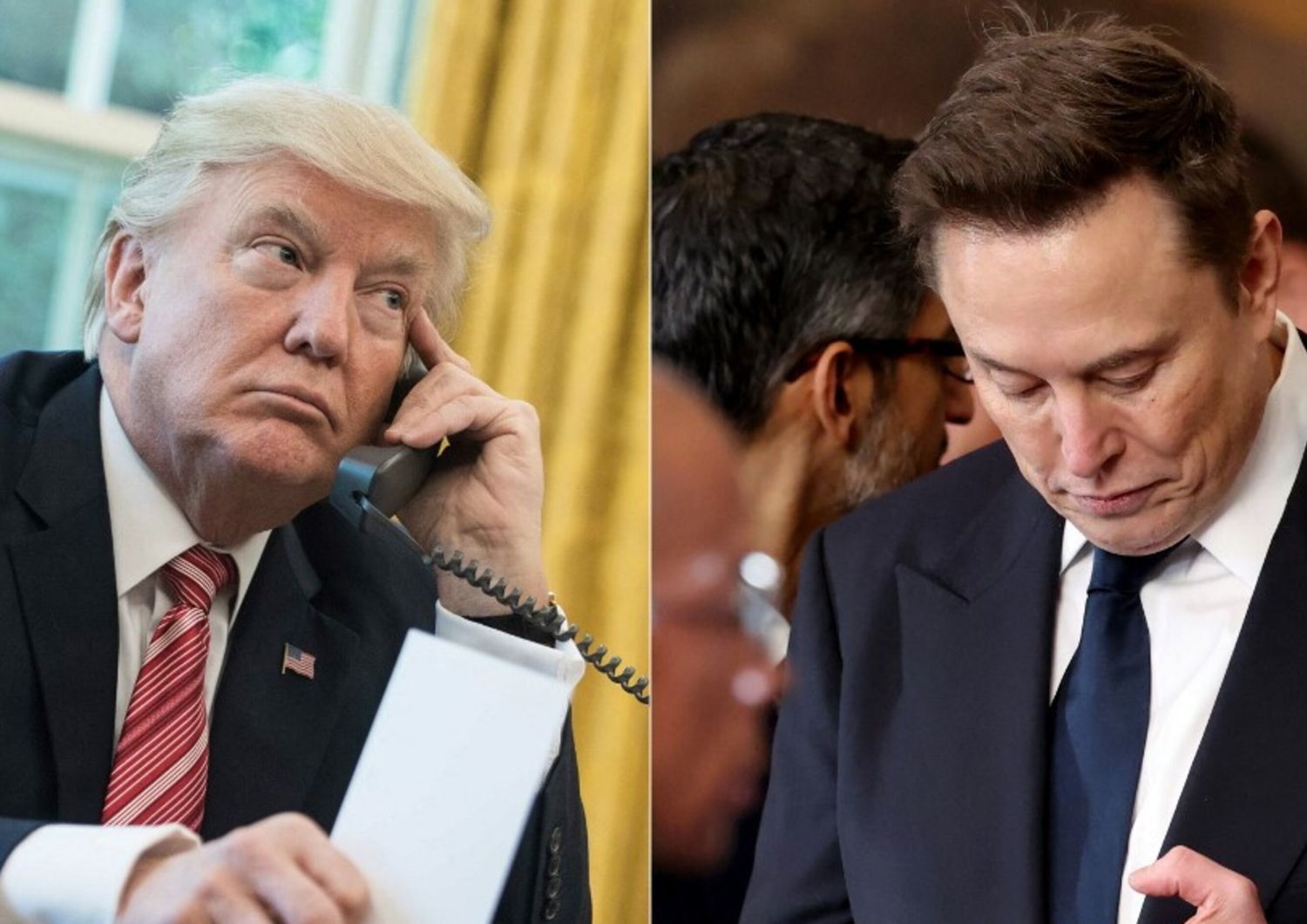 Donald Trump - Elon Musk