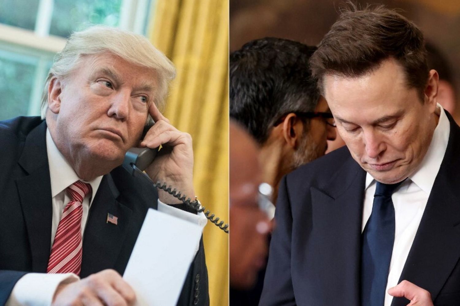 Donald Trump - Elon Musk