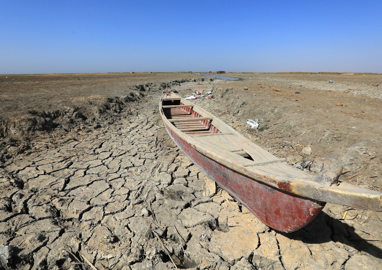 Cambiamenti climatici