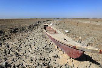 Cambiamenti climatici