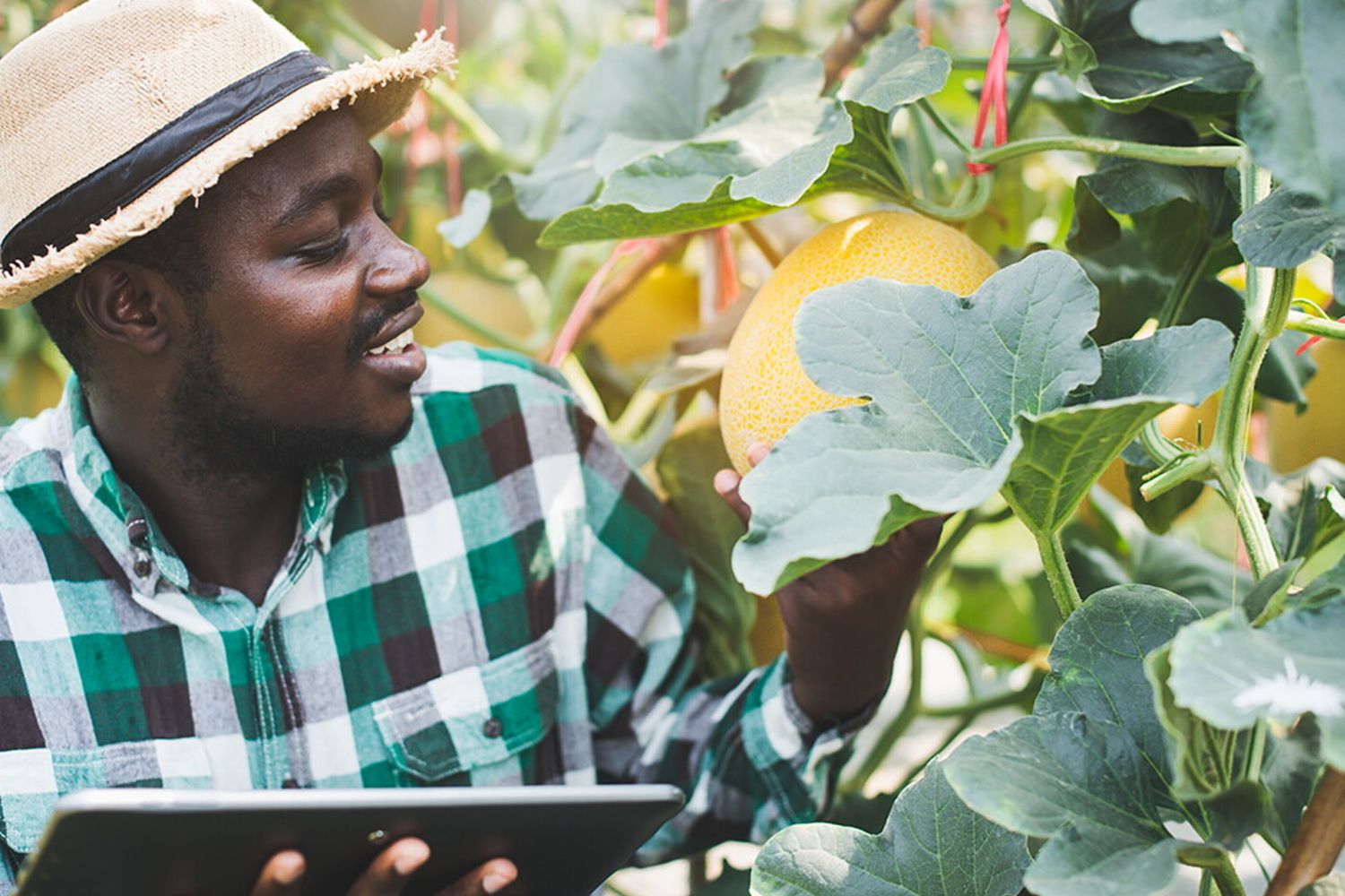 Senegal-Italia: al via Unitafrica, iniziativa di cooperazione universitaria
