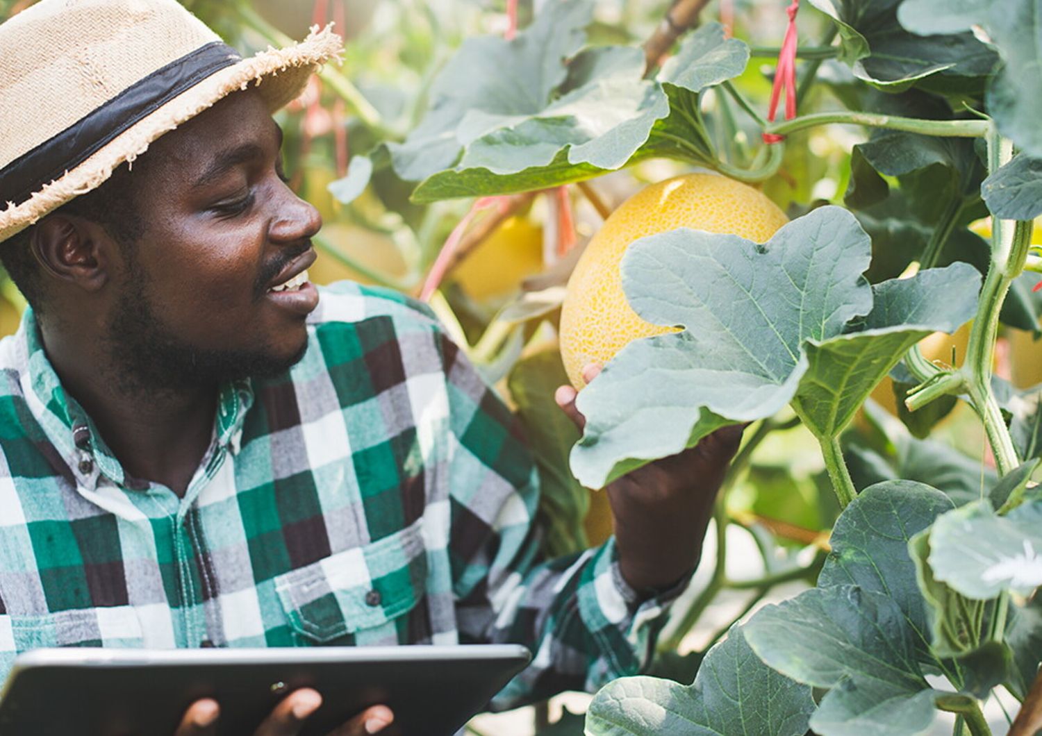 Senegal-Italia: al via Unitafrica, iniziativa di cooperazione universitaria