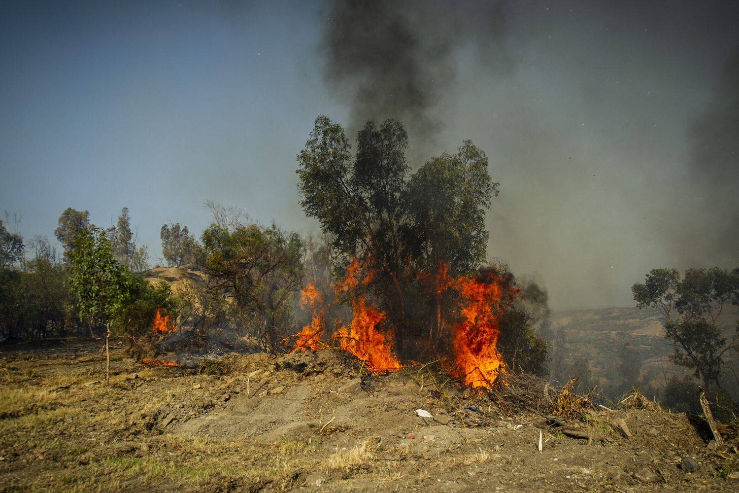 Incendio in Calabria