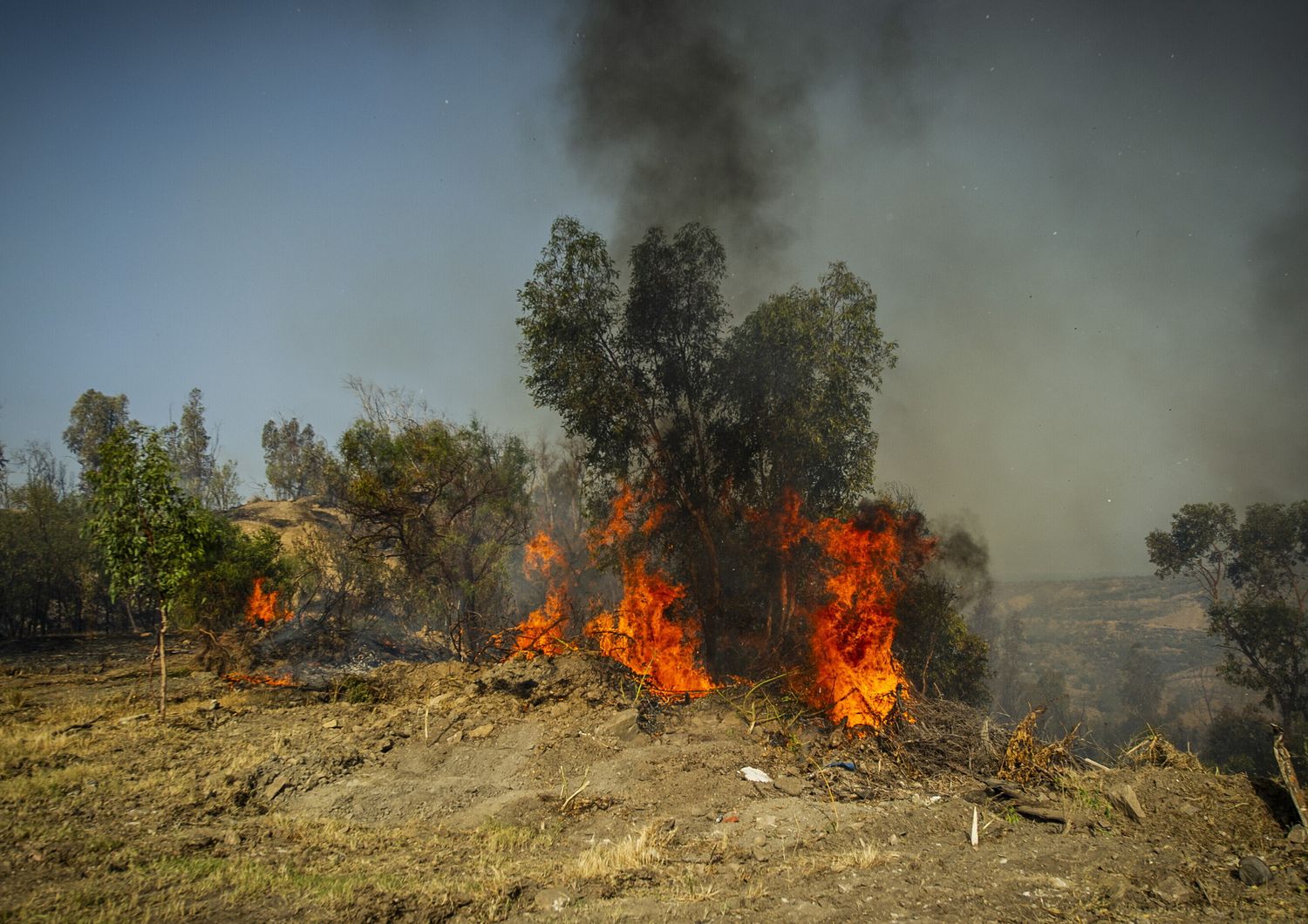 Incendio in Calabria
