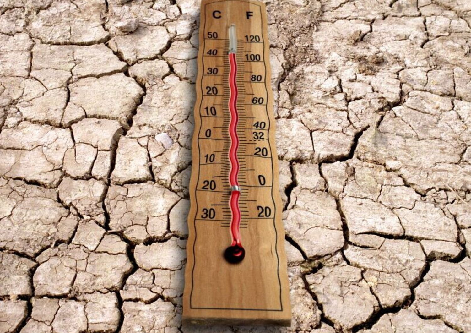 Caldo record