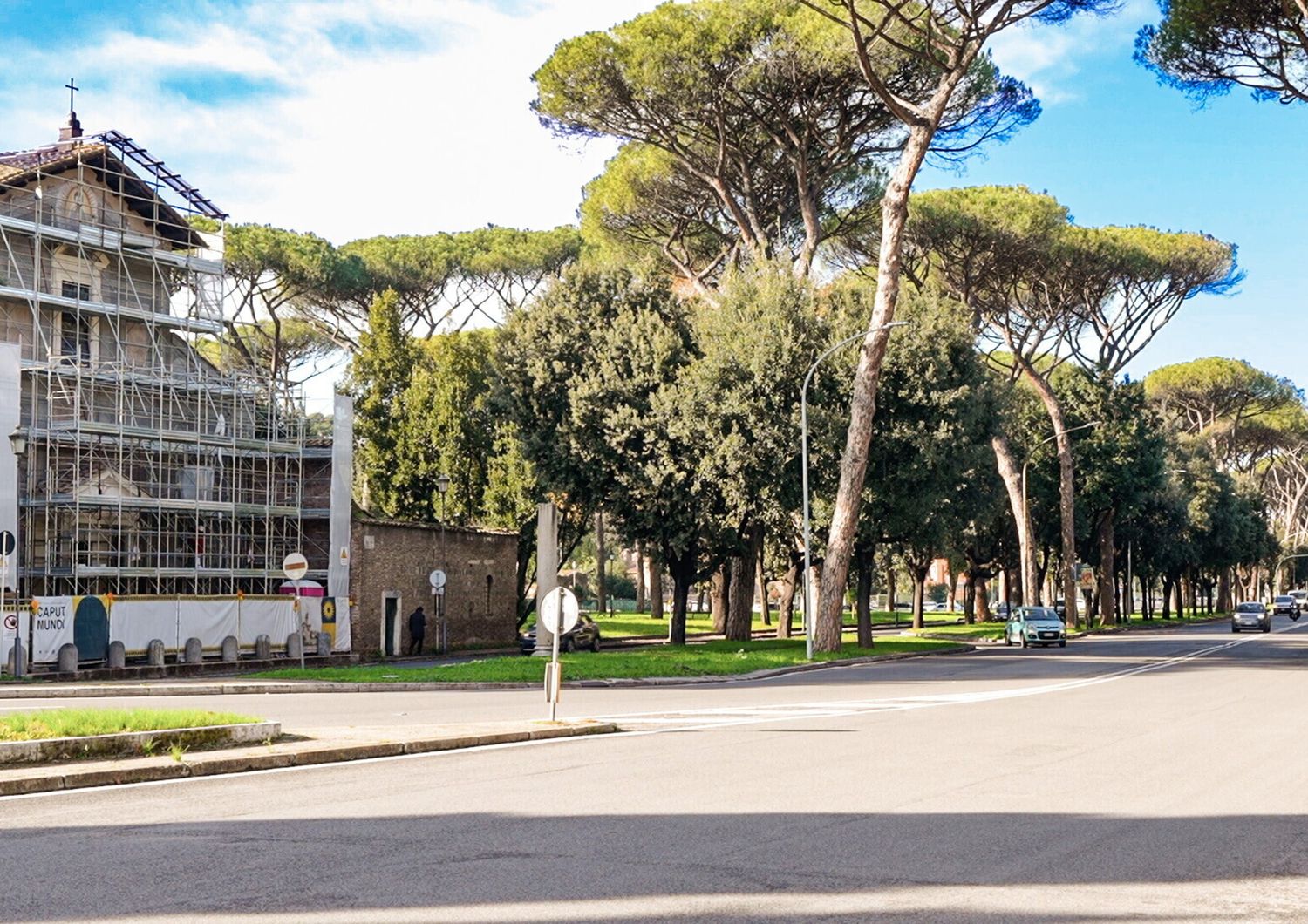 Alberi a Roma