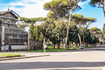 Alberi a Roma
