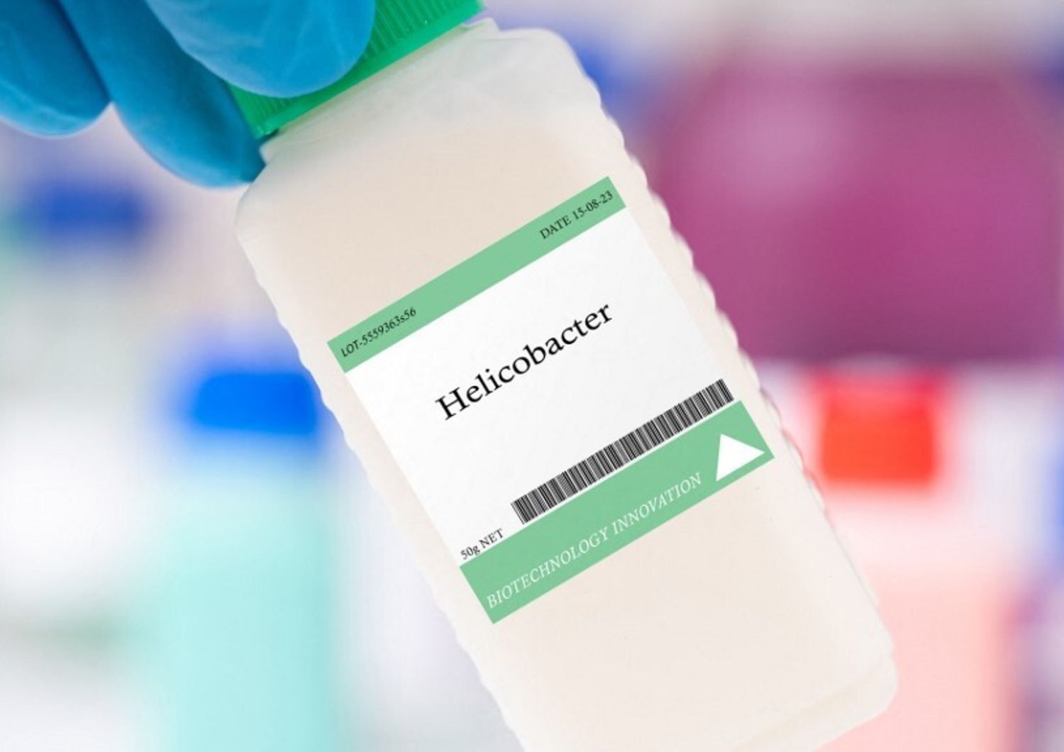 Helicobacter pylori