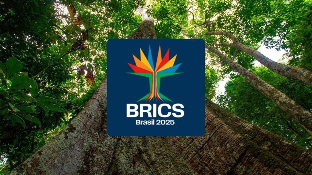 L'Africa al 17° vertice dei BRICS, il continente avanza le sue pedine