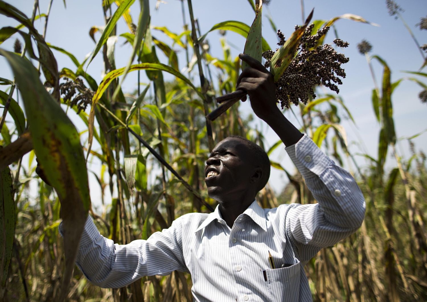 Missione della Cooperazione Italiana nella Repubblica del Congo