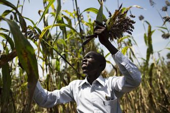 Missione della Cooperazione Italiana nella Repubblica del Congo