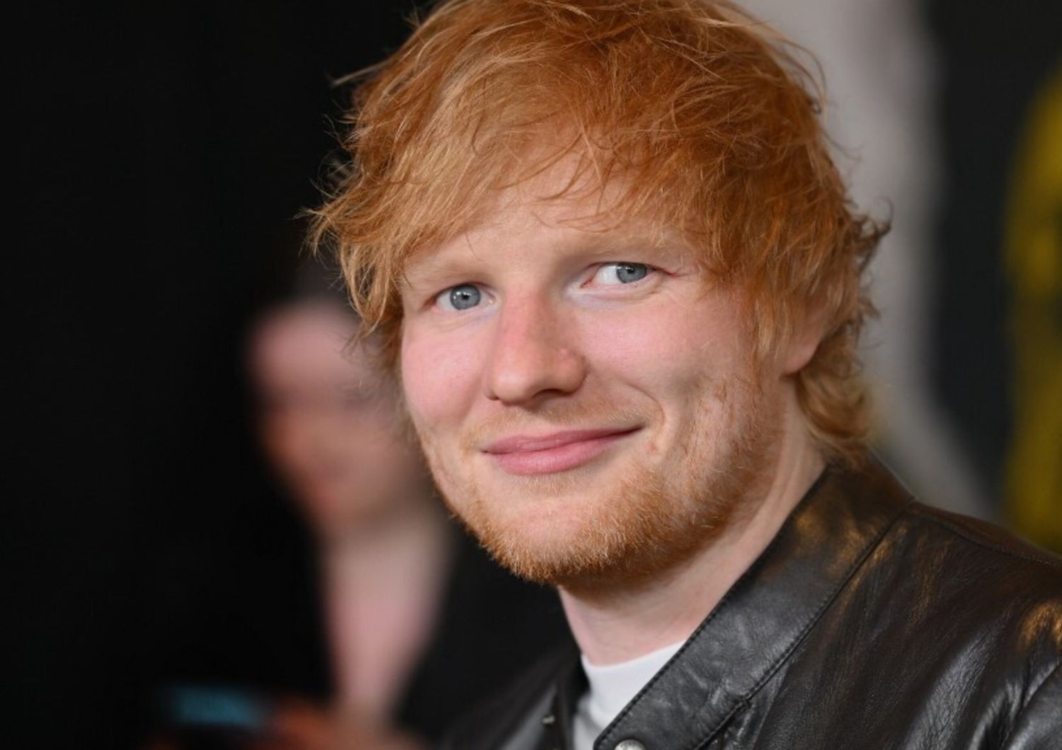 Sheeran pittore