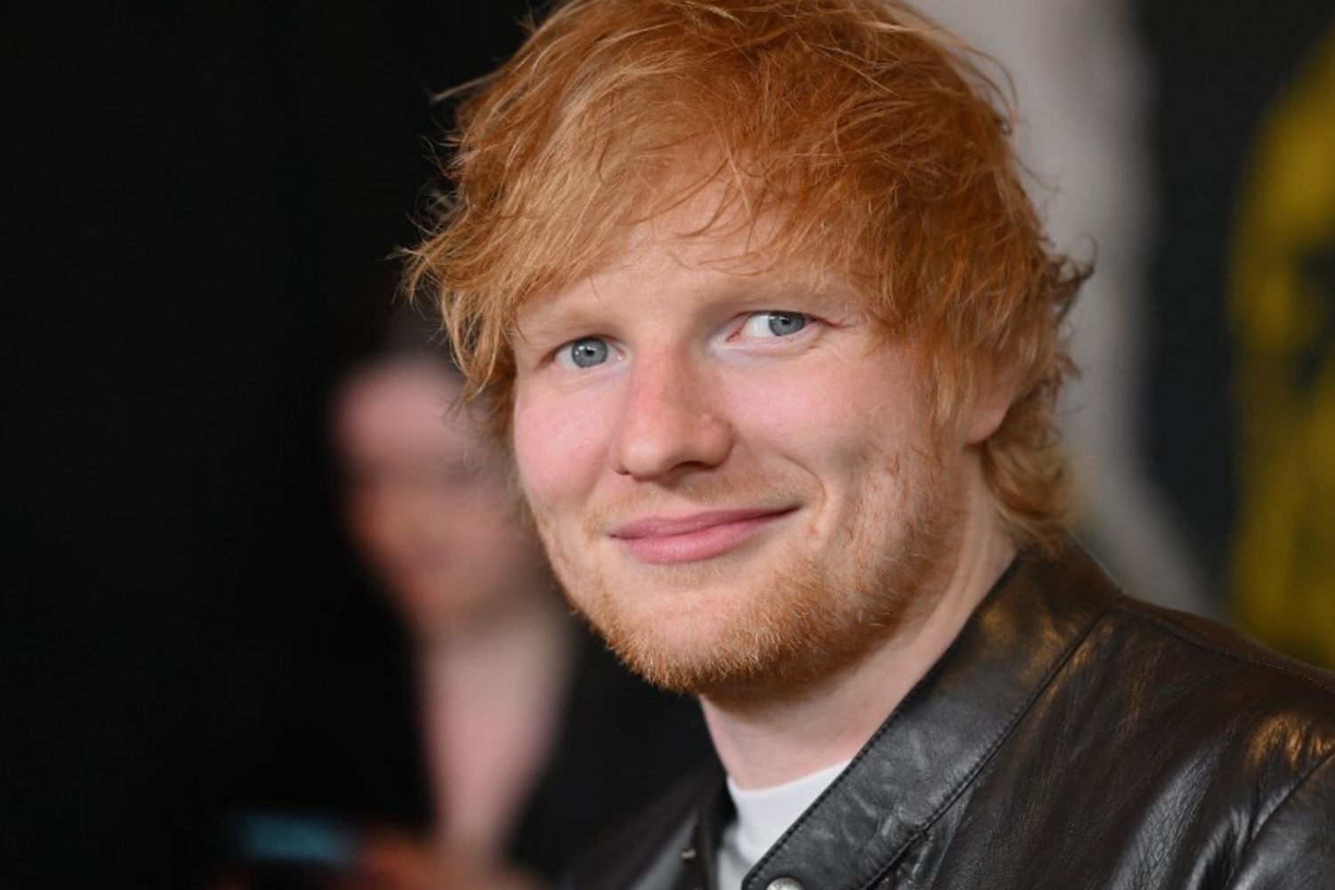 Sheeran pittore