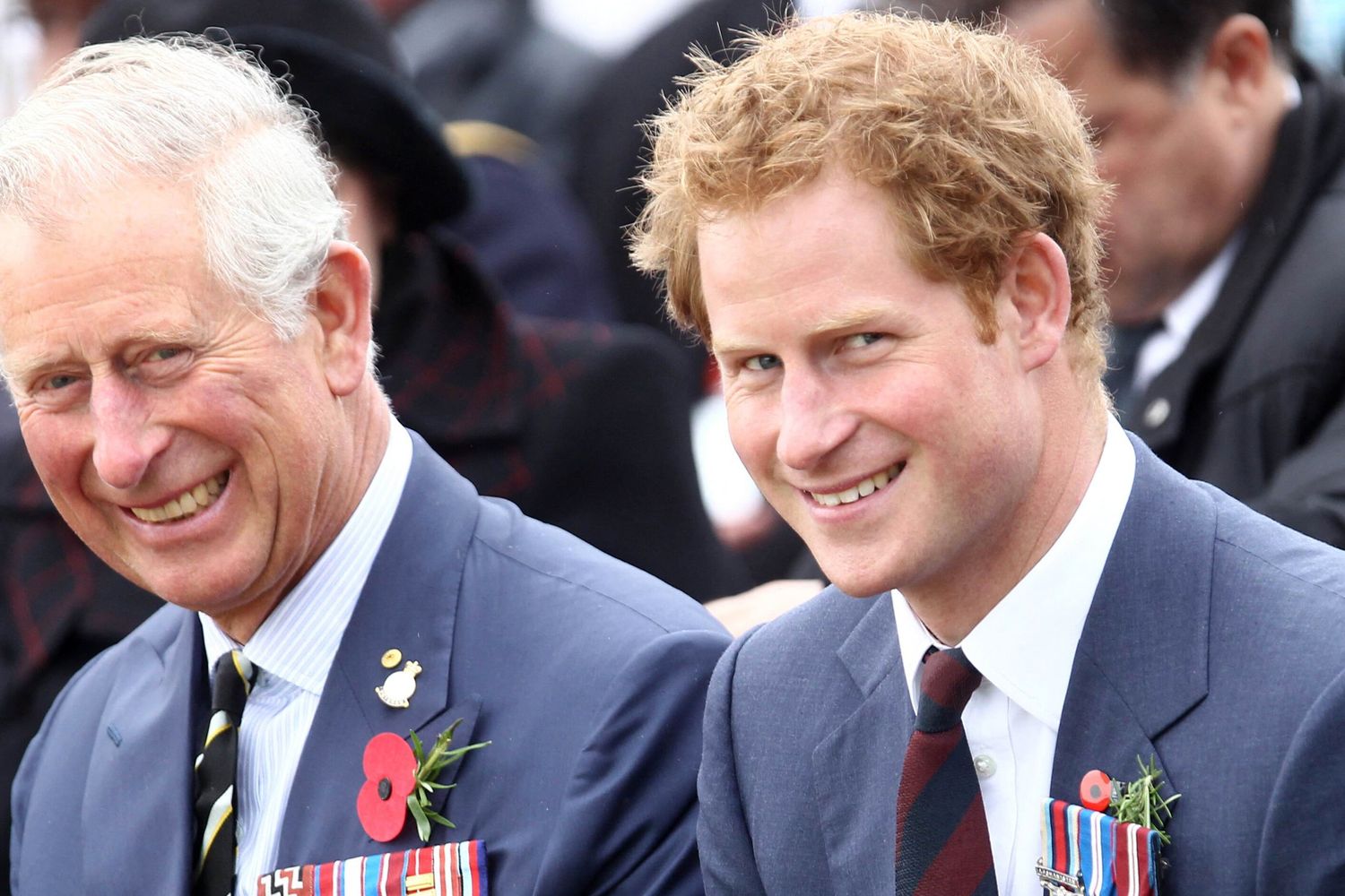 Harry e Carlo nel 2015&nbsp;