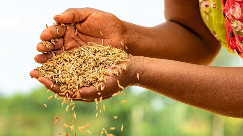 L'Abruzzo in prima linea in Etiopia per la riconversione civile post-conflitto con un progetto incentrato sull'agricoltura