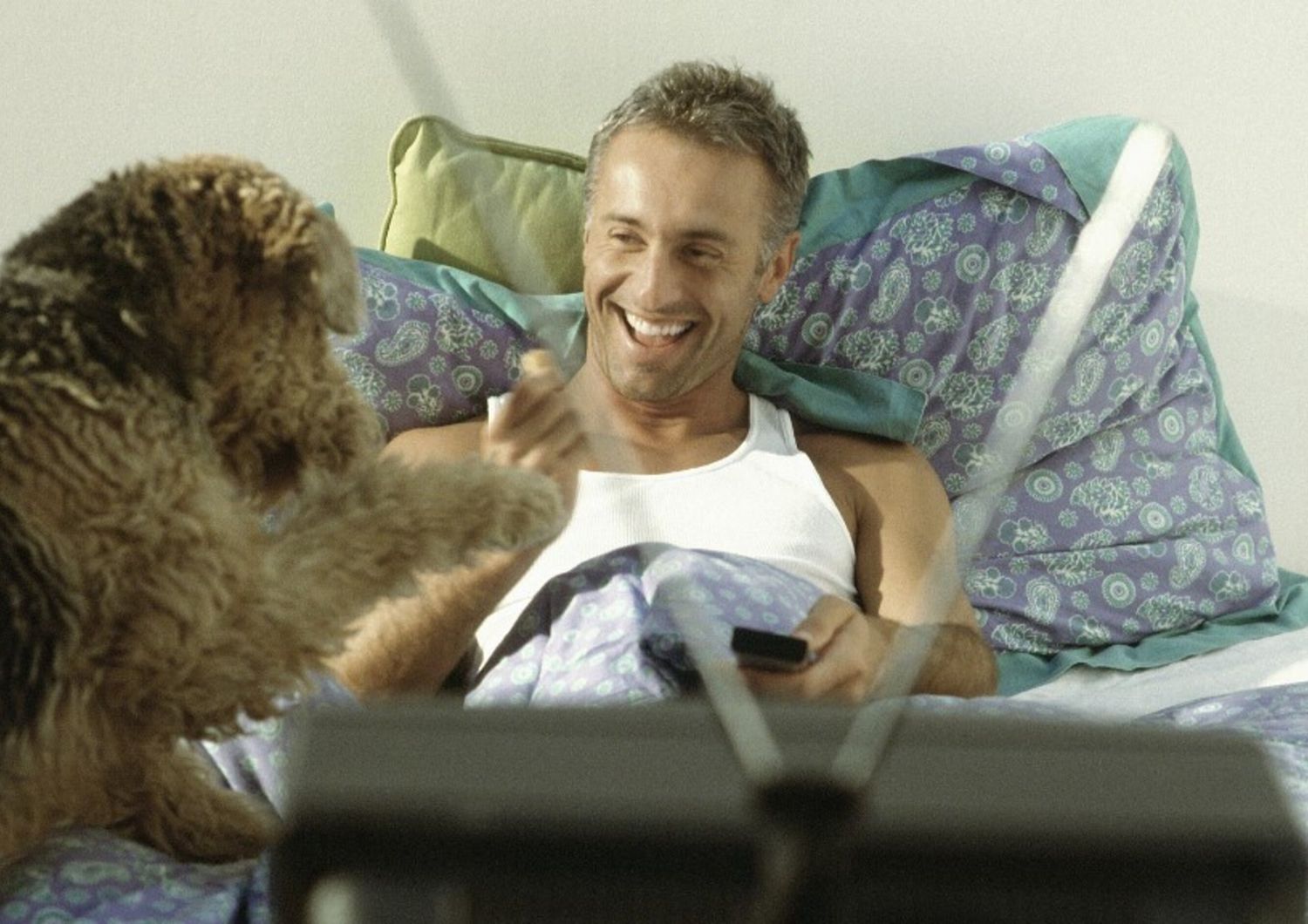 I cani e la tv