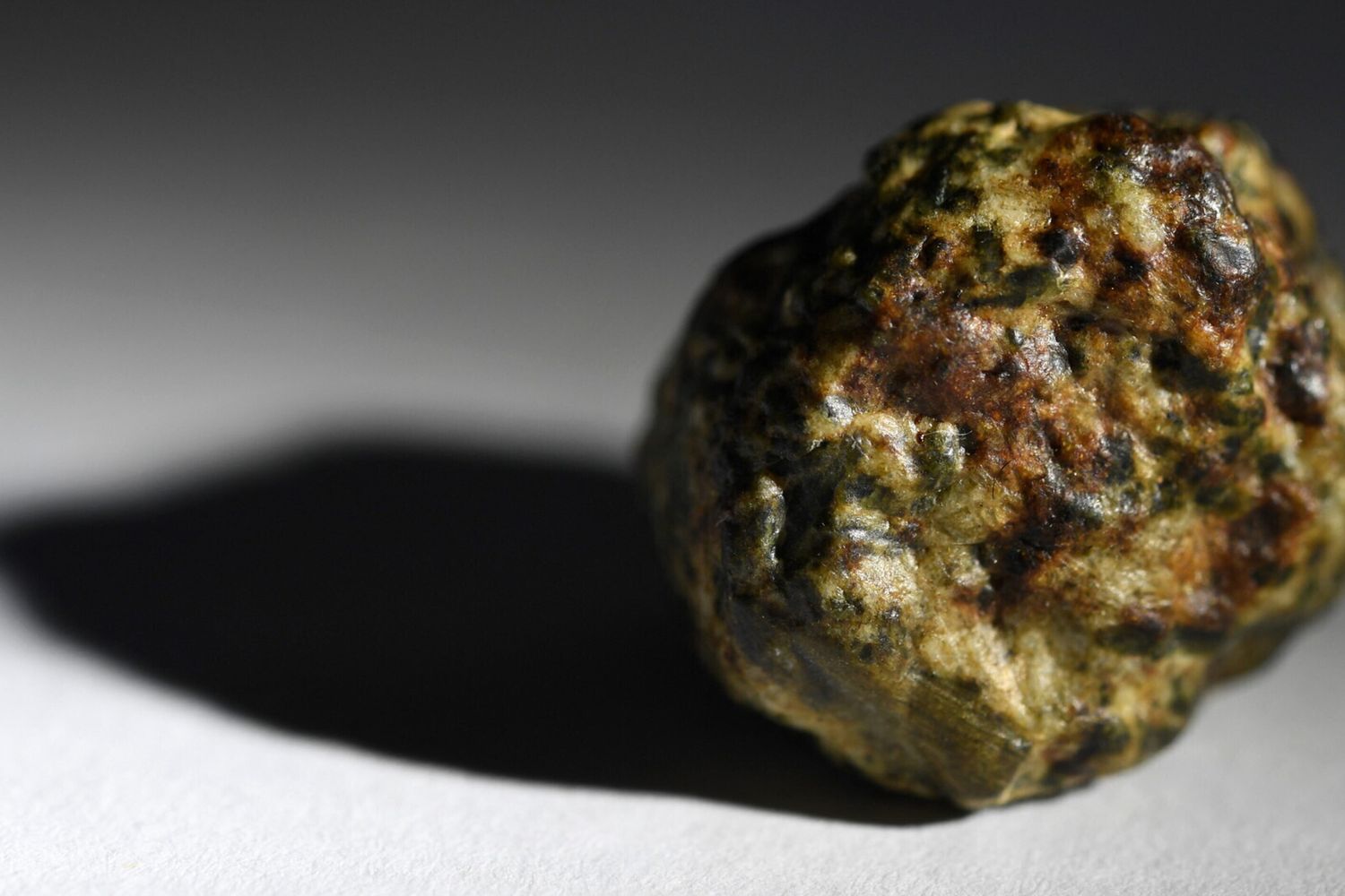 Un piccolo meteorite caduto a Brest, in Francia, ad aprile di quest'anno