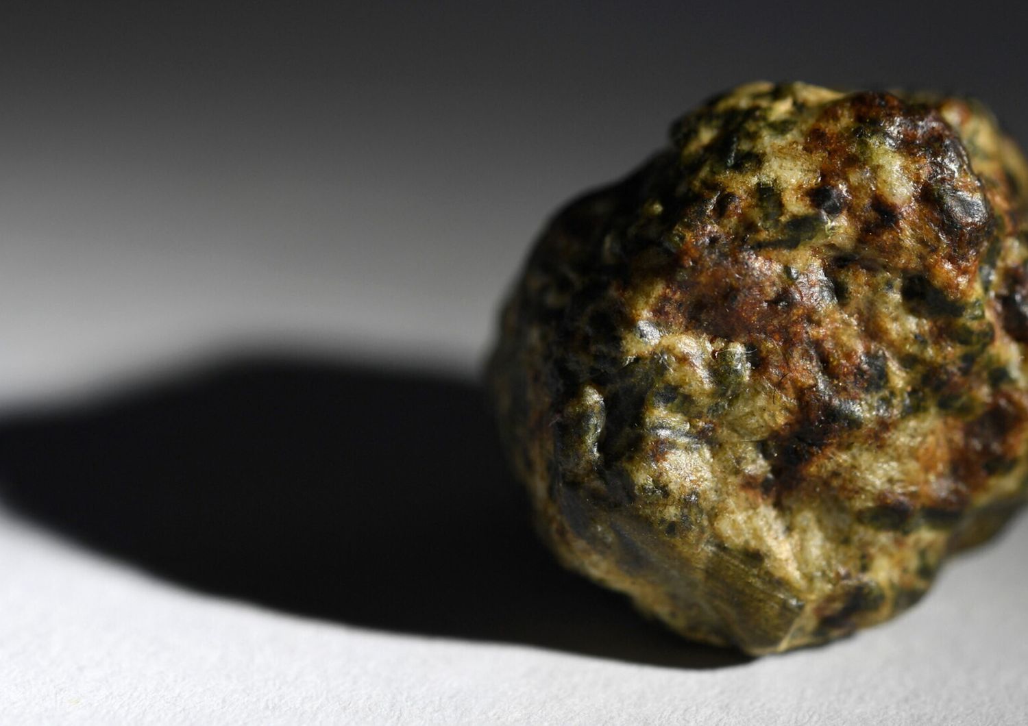 Un piccolo meteorite caduto a Brest, in Francia, ad aprile di quest'anno