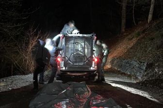 Un momento della cattura dell'orsa Jj4