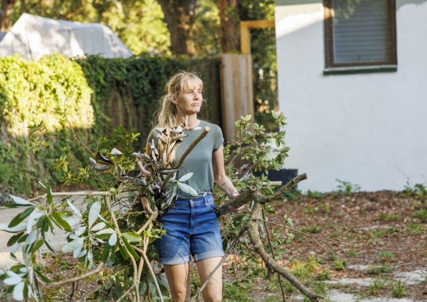 jorts jens short levis moda