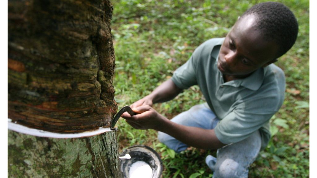 Plan Mattei: des entreprises italiennes en mission d’affaires en Côte d’Ivoire avec Sace