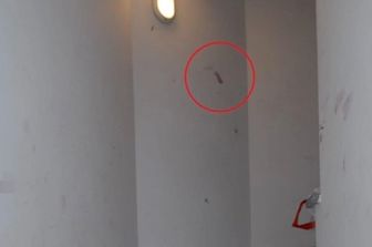 Impronta a casa Poggi