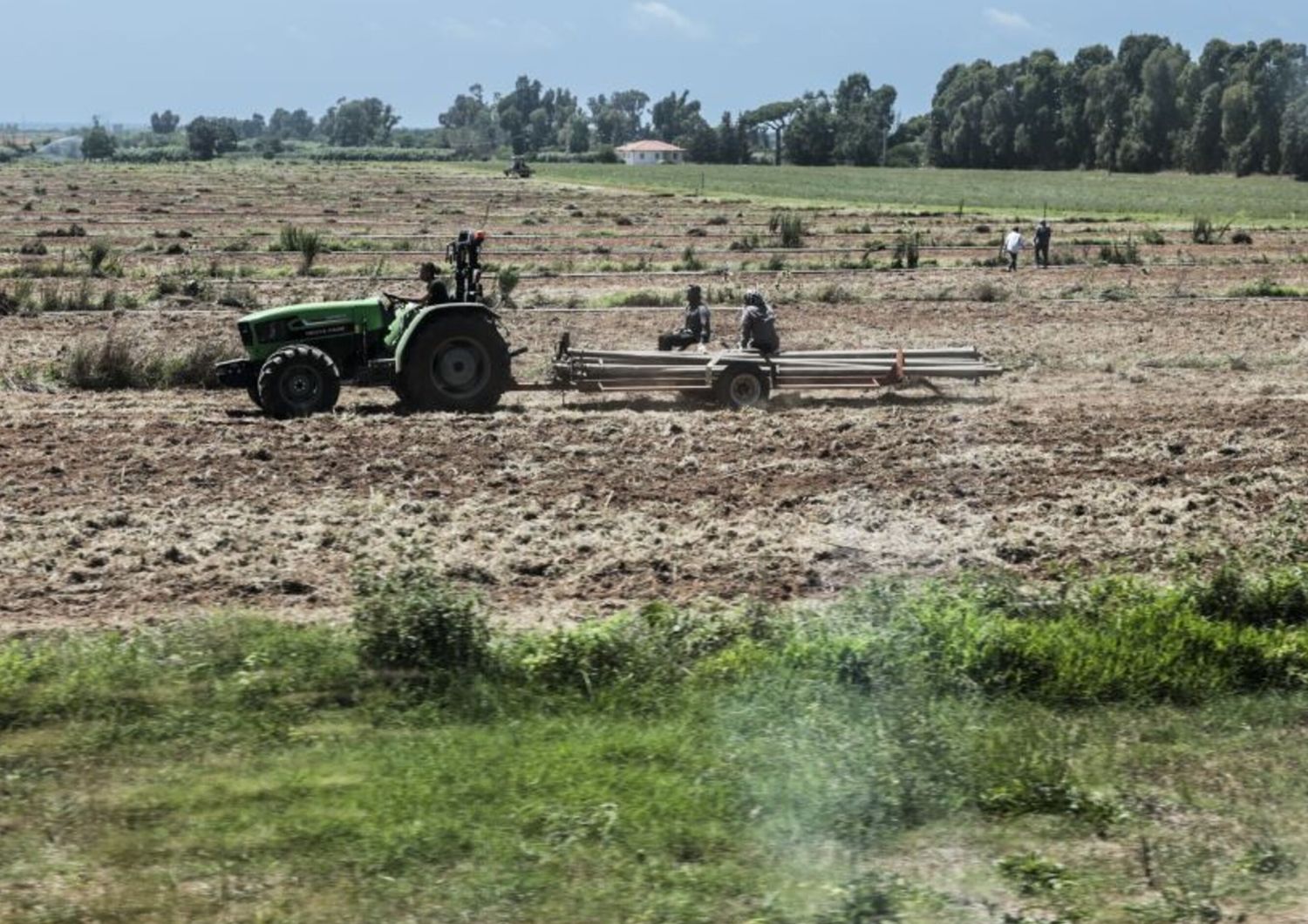 Agricoltura