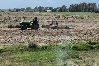 Agricoltura