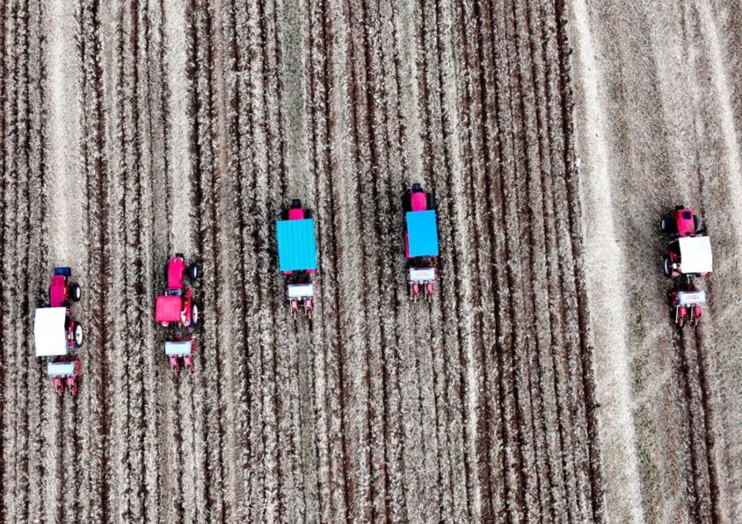 guerra nucleare impatto agricoltura