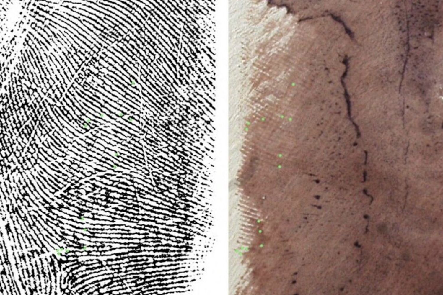 Dalla relazione dei consulenti impronta sempio a confronto con impronta sul muro