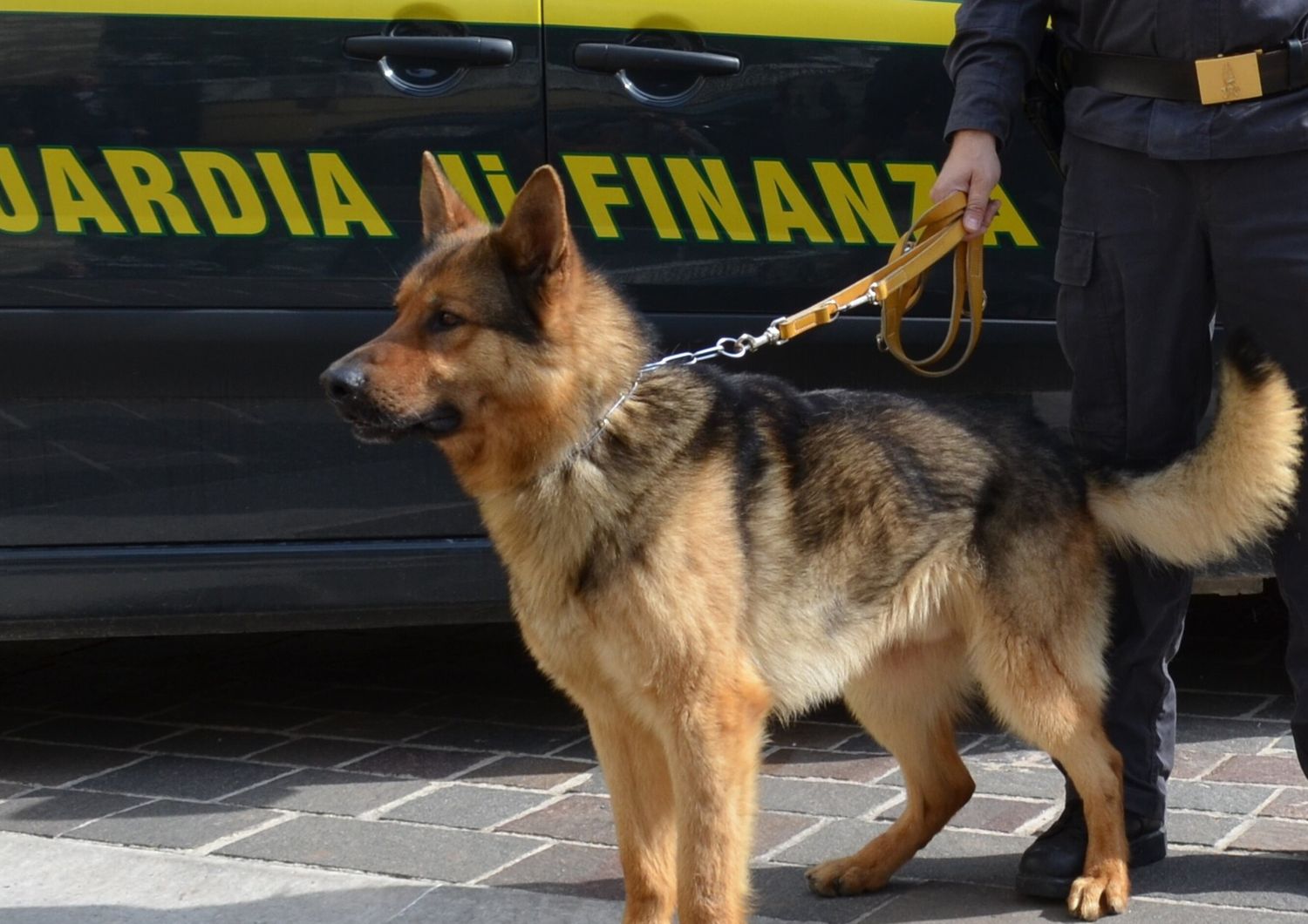 Guardia di Finanza, cani anti-droga&nbsp;
