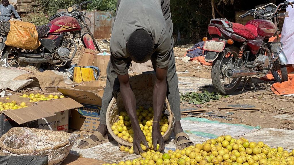 Italia-Etiopia: firmato un memorandum nei settori della pesca e dell'agricoltura