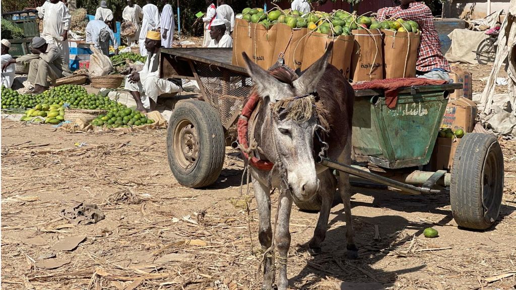 Italia-Etiopia: firmato un memorandum nei settori della pesca e dell'agricoltura