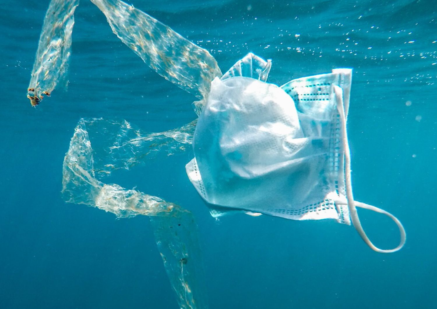 Mascherine in mare, aggiungono microplastiche inquinanti